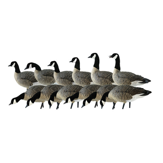 AXP Outfitter Lesser 12 Pack with 12-Slot Decoy Bag