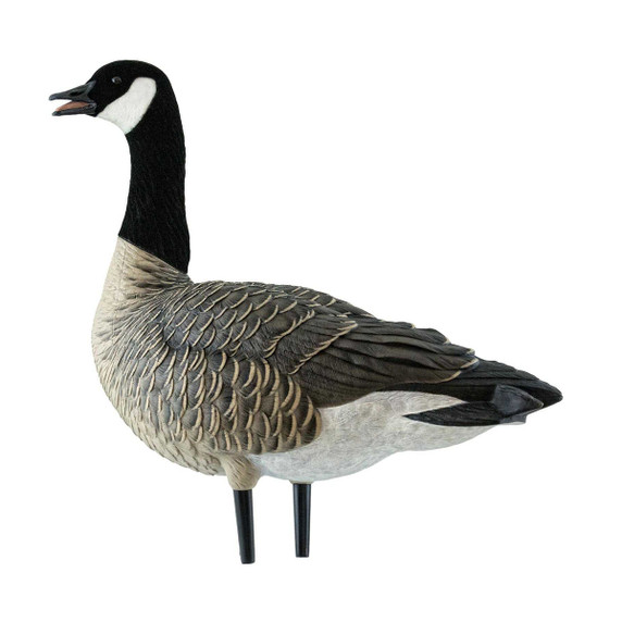 Avian-X AXF Outfitter Lesser Pack Fully Flocked Decoys, 12 Pack with Slotted Decoy Bag Image