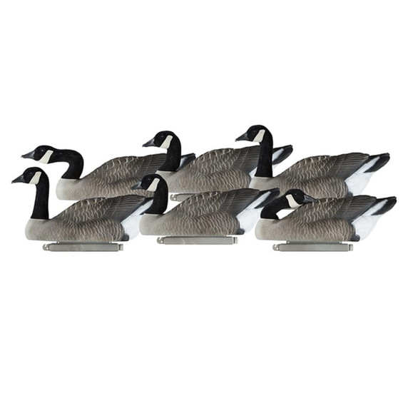 Dakota Decoys X-Treme Canada Goose Floaters, 6 Pack Image