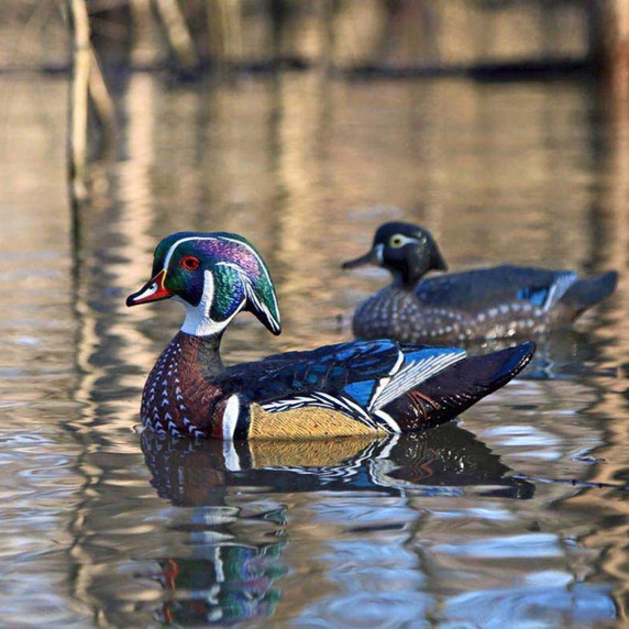 X-Treme Floating Wood Ducks, 6 Pack