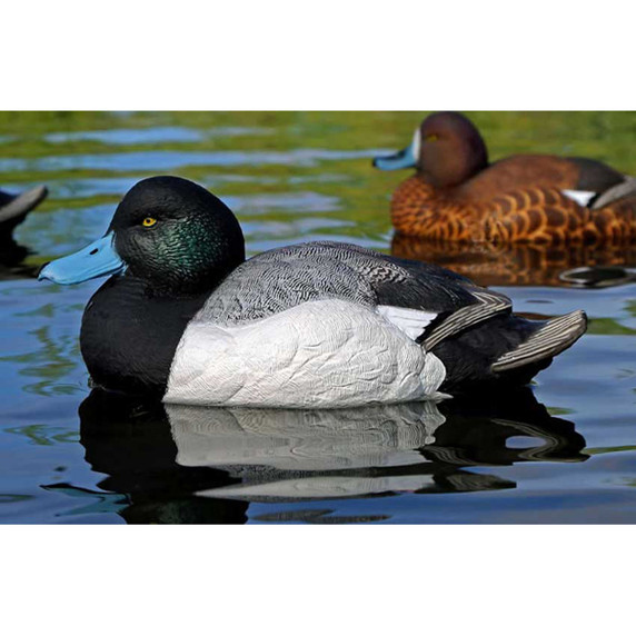 X-Treme Bluebill Duck Decoys, 6 Pack