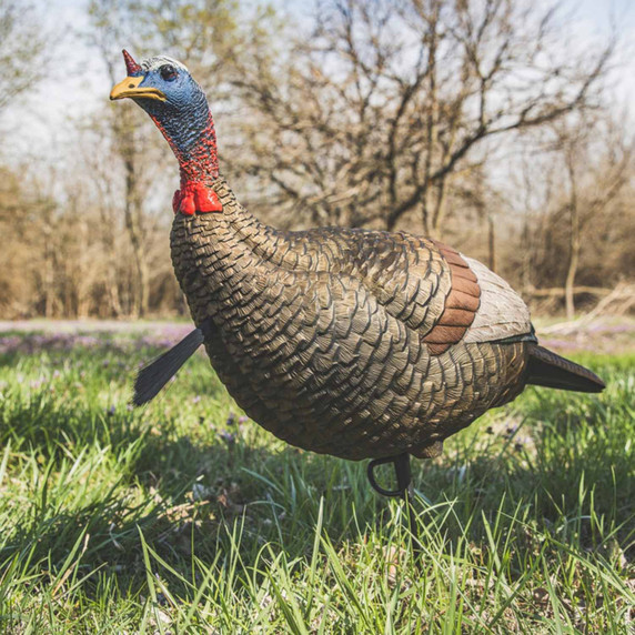 Flextone Thunder Jake Turkey Decoy Field Image