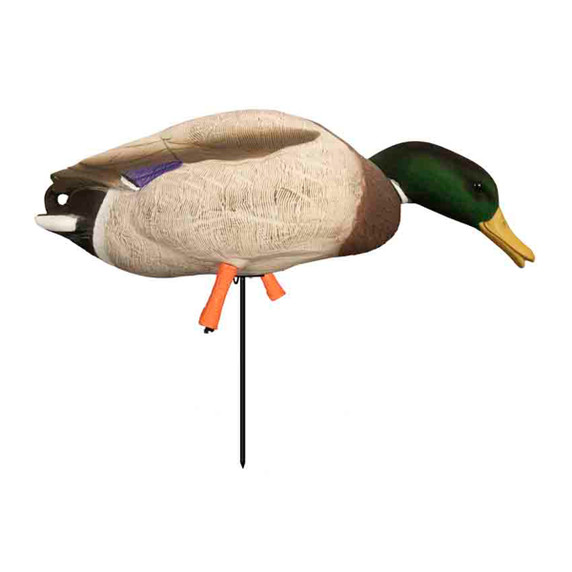 Higdon Magnum Full-Body Mallard, Variety 6 Pack with Flocked Heads and Free Bag Image
