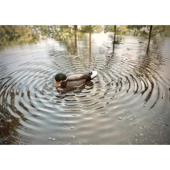 Rippler Vibrating Motion Duck Decoy