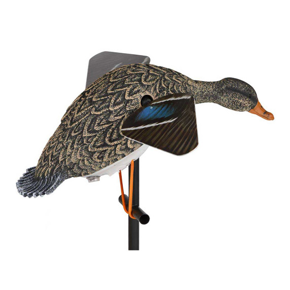 Lucky Duck Lucky HD Hen Spinning Wing Decoy Image