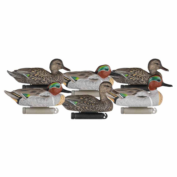 Dakota Decoy X-Treme Floating Green-Winged Teal Decoys Product Image