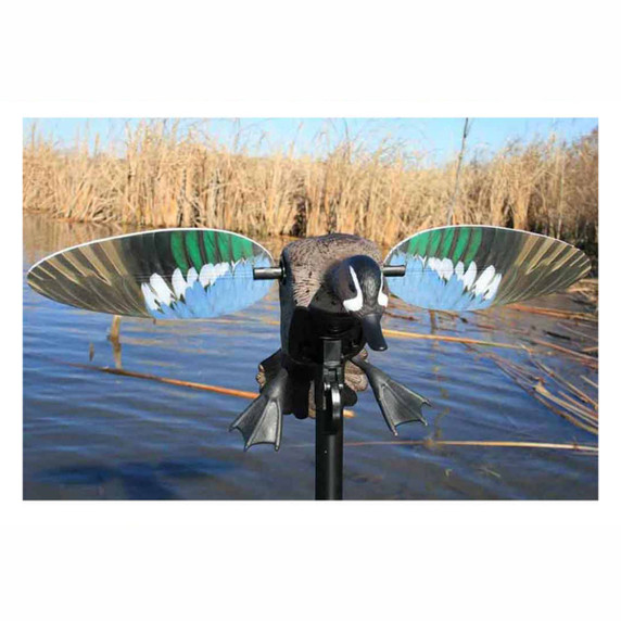 Elite Series Blue Wing Teal Motorized Duck Decoy