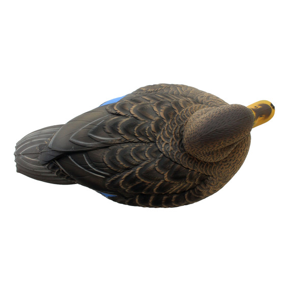 Heyday HydroFoam Black Duck Hen Top Image