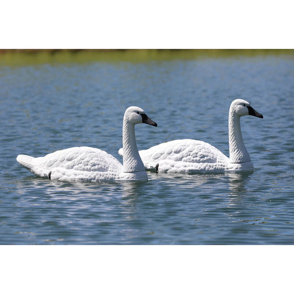 Tundra Swan Decoy 2 Pack