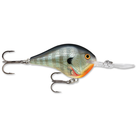 Rapala DT10 Series Bluegill Crankbait Image