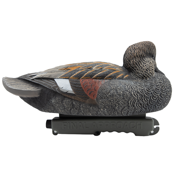 Live Gadwall Floater Duck Decoys - 6 Pack