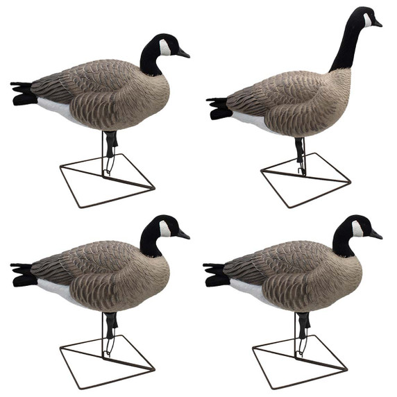Live Full Body Upright Honkers, 4 Pack Live Full Body Upright Honkers, 4 Pack