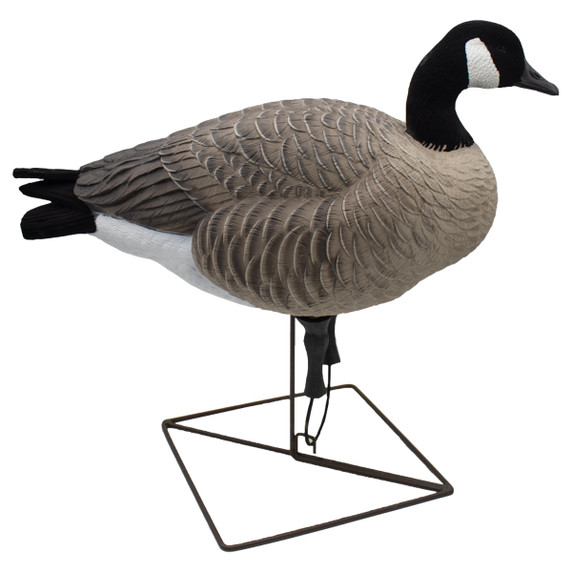 Live Full Body Upright Honkers, 4 Pack Live Full Body Upright Honkers, 4 Pack