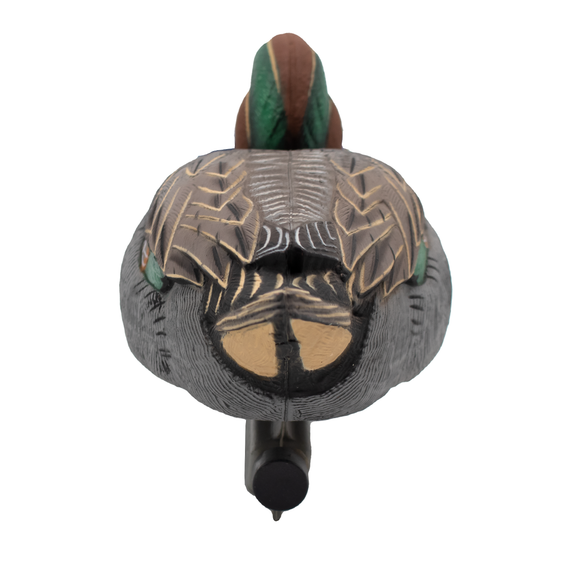 Final Approach HD Greenwing Teal Floater Drake Back Image