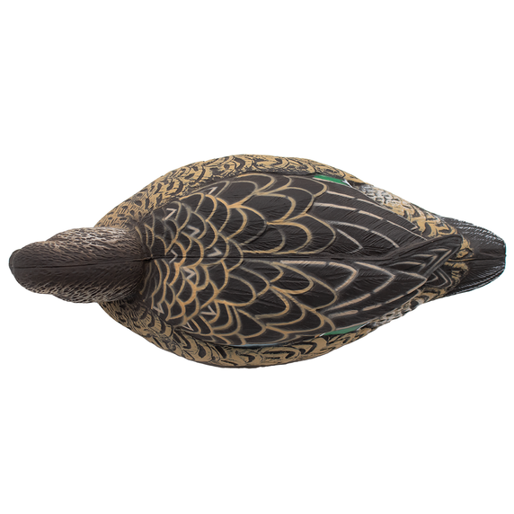 Final Approach HD Greenwing Teal Floater Hen Feeding Top Image