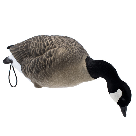 LIVE Fully Flocked Full Body Lesser Canada Geese, 6 Pack