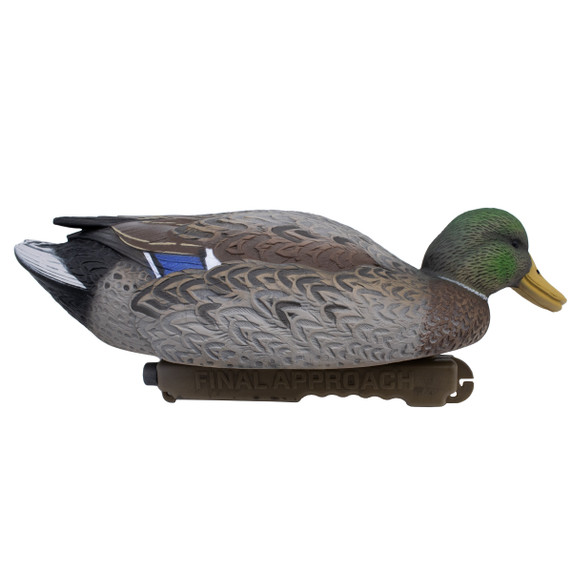 Final Approach Live Early Season Mallard Duck Feeder Decoy Side Image