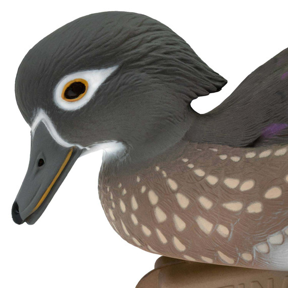 Final Approach LIVE Floating Wood Duck Decoy close up hen head image
