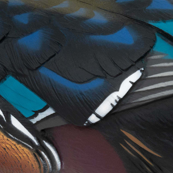 Final Approach LIVE Floating Wood Duck Decoy drake tail feather close up image