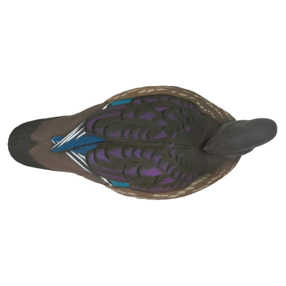 Top hen image of the LIVE Floating Wood Duck Decoys.