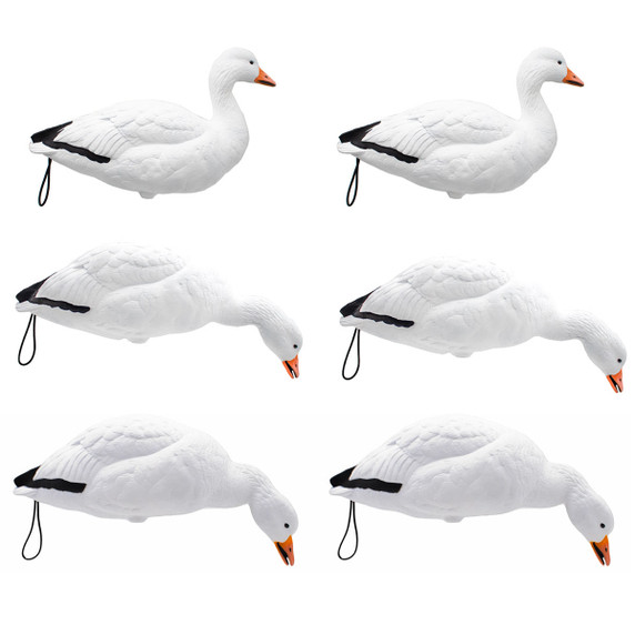 LIVE Full Body Snow Goose 6 Pack