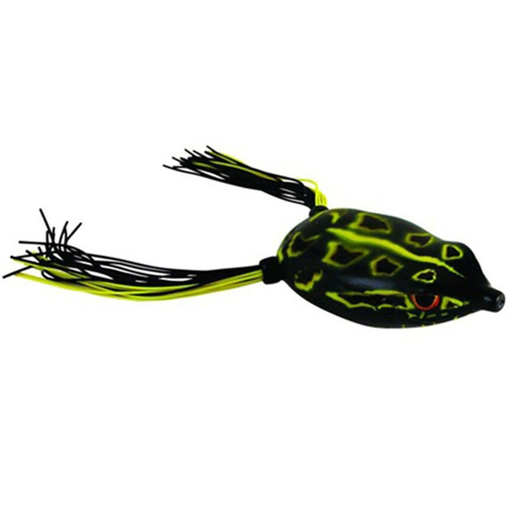 Bronzeye Frog 65