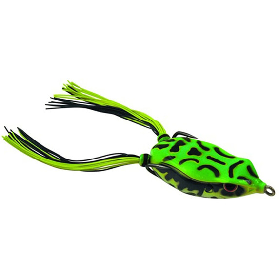 Bronzeye Frog 65