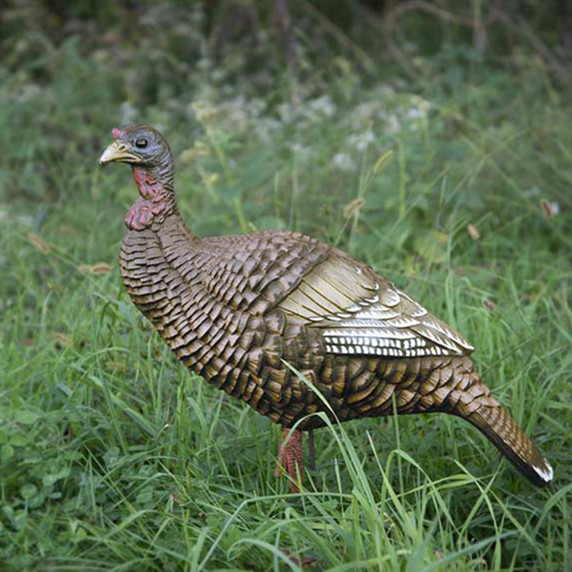 Hard Body Upright Hen Turkey Decoy