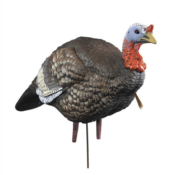 Hard Body 1/4 Strut Jake Turkey Decoy