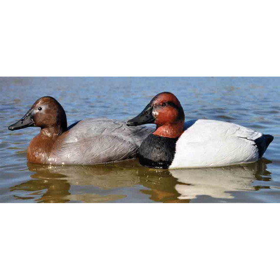 Battleship Canvasback Foam Filled Duck Decoys - 6 Pack