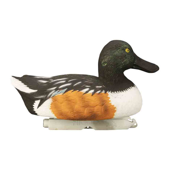 Standard Shoveler Foam Filled Decoys, 6 Pack