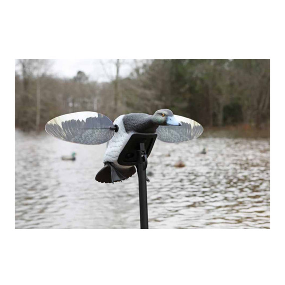 Mojo Elite Series Diver Bluebill Spinning Wing Duck Decoy Field Image
