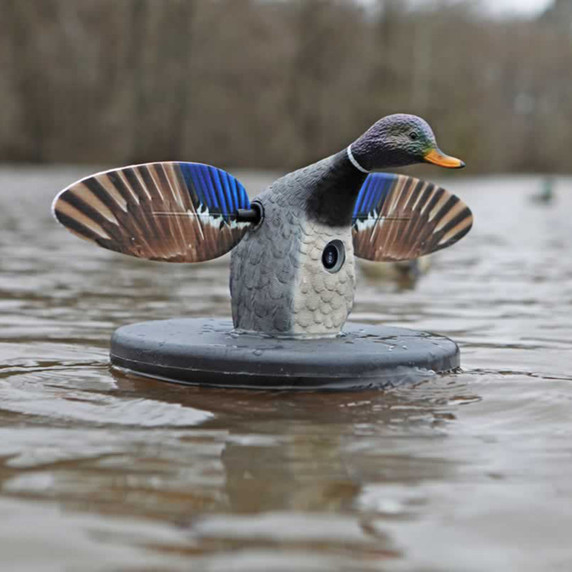 On-the-Water Image of the Mojo Outdoors Mallard Drake Elite Series Spinning Wing Floating Duck Decoy.