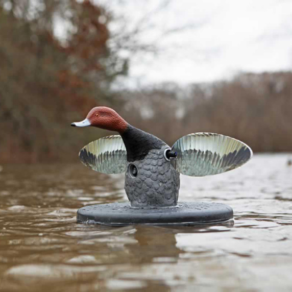 Field Image of the Mojo Elite Series Redhead Floating Spinning Wing Duck Decoy.