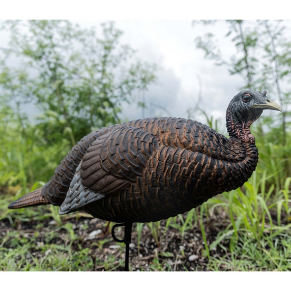 Flextone Thunder Chick Breeder Turkey Decoy Field Image