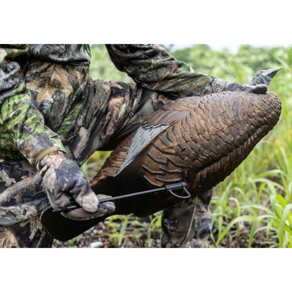 Flextone Thunder Chick Breeder Turkey Decoy Field Stake Placement Image