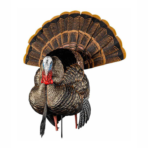 Avian-X HDR Strutter Turkey Decoy Left Angled Image