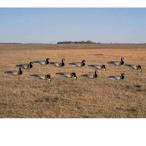 Pro-Grade Canada Goose Sock Decoys with Flocked Heads - 12 pack