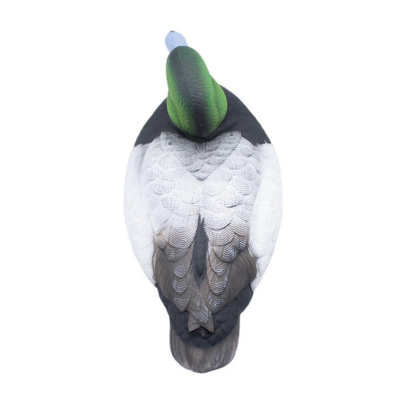 FlexFloat Bluebill-Redhead Diver Duck Top Bluebill Image
