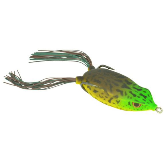 Bronzeye Frog 60
