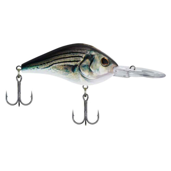 Dredger Crankbait