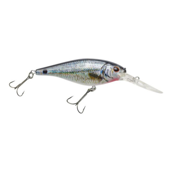 Flicker Shad