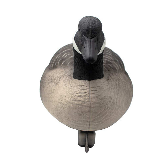 Last Pass Canada Goose Floaters, 6 Pack Last Pass Canada Goose Floaters, 6 Pack