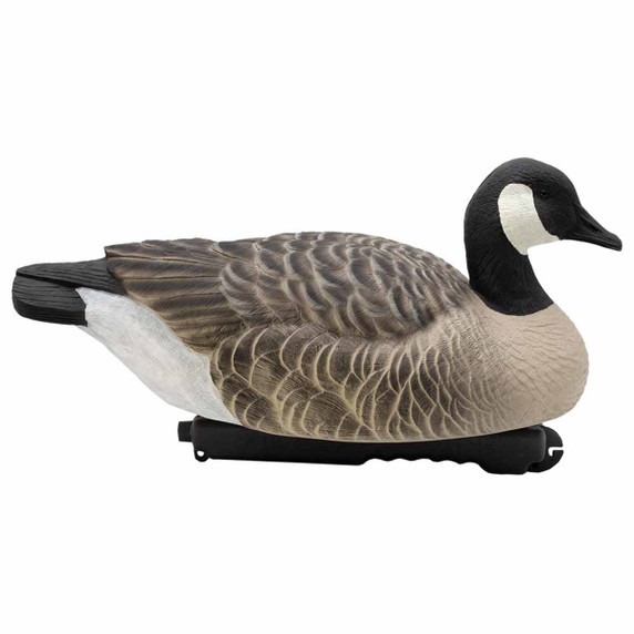 Last Pass Canada Goose Floaters, 6 Pack Last Pass Canada Goose Floaters, 6 Pack