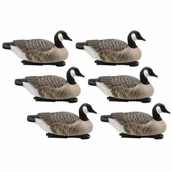 Last Pass Canada Goose Floaters, 6 Pack Last Pass Canada Goose Floaters, 6 Pack