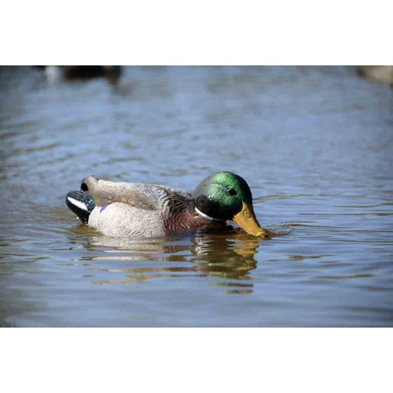 XS Mallard Drake Pulsator/Swimmer Duck Decoy Combo