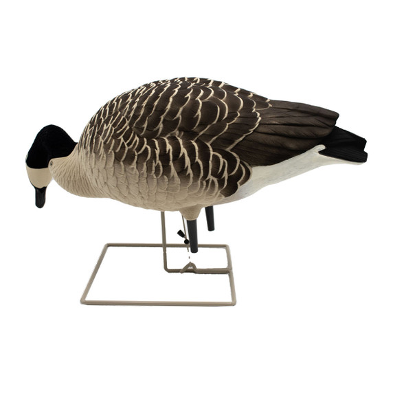 Feeding Honker Goose Decoys - 4 Pack