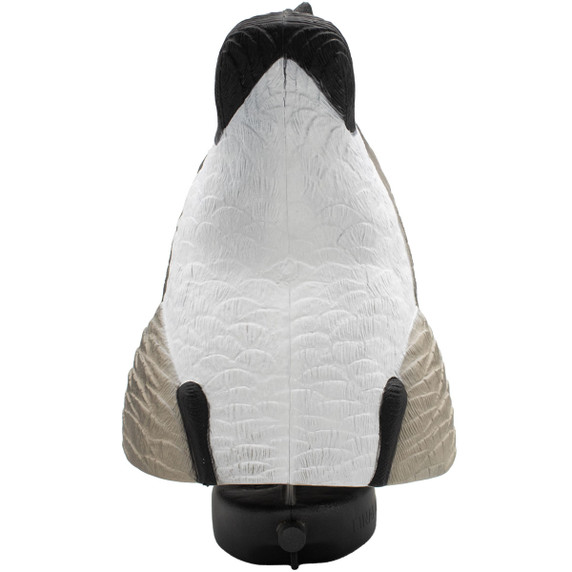 FA LIVE Canada Goose Butts 2 Pack