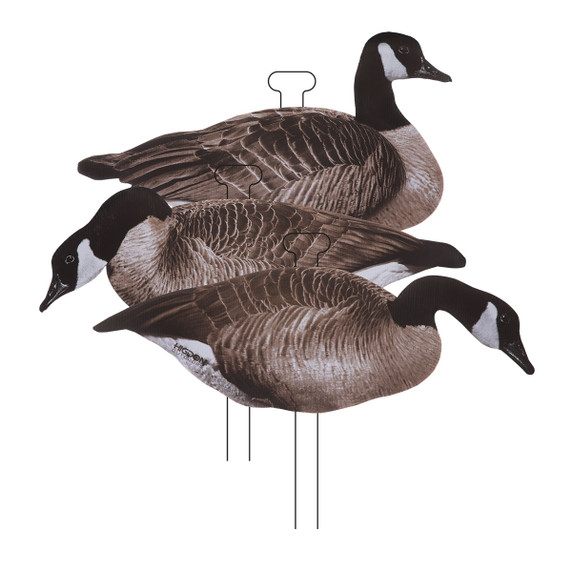 FLATS Standard Canada Goose Decoys - 12 Pack