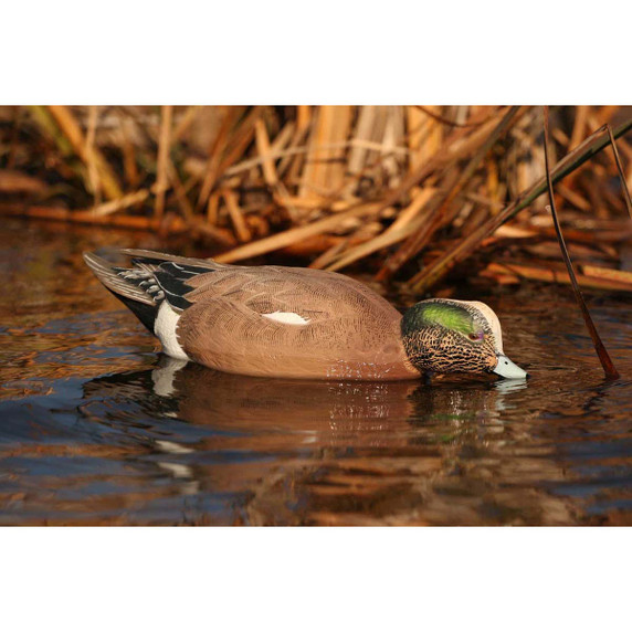 Pro-Grade Wigeon Decoys - 6 Pack